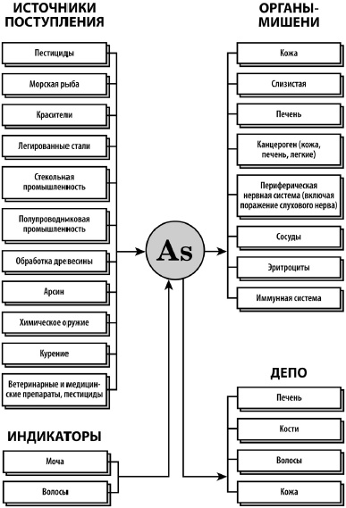 Микроэлементы. Бодрость, здоровье, долголетие