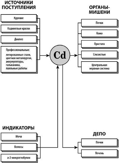 Микроэлементы. Бодрость, здоровье, долголетие