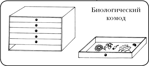 Помоги мне это сделать самому