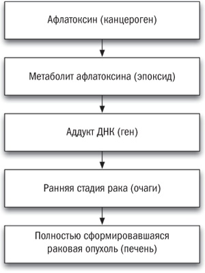 Полезная еда. Развенчание мифов о здоровом питании