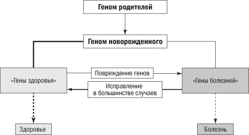 Полезная еда. Развенчание мифов о здоровом питании