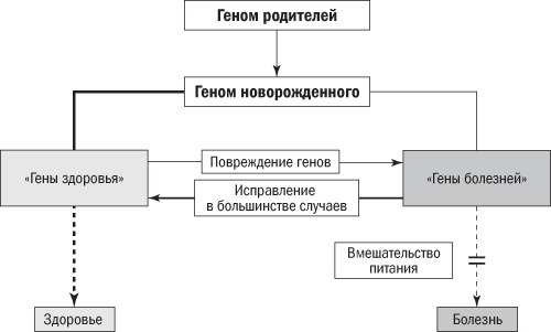 Полезная еда. Развенчание мифов о здоровом питании