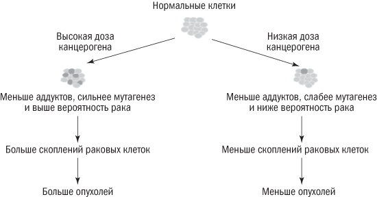 Полезная еда. Развенчание мифов о здоровом питании