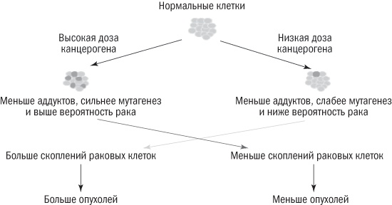 Полезная еда. Развенчание мифов о здоровом питании