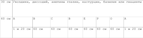 Однолетние цветы рукотворной красоты