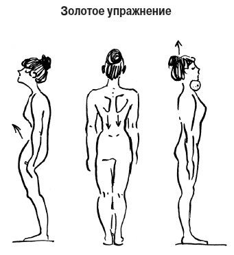 Энциклопедия доктора Мясникова о самом главном. Том 3