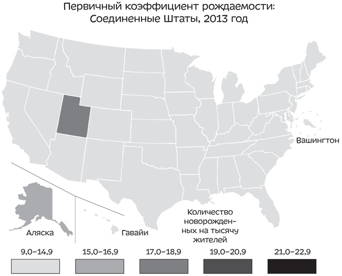 Путеводитель по лжи. Критическое мышление в эпоху постправды