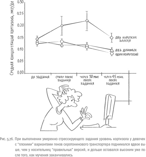 Воля и самоконтроль. Как гены и мозг мешают нам бороться с соблазнами