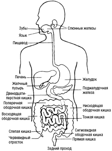 Любовь и прощение - лучшие лекарства от всех болезней в любом возрасте