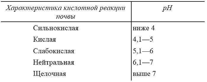 Как посадишь, так и поешь. Агротехника на шести сотках