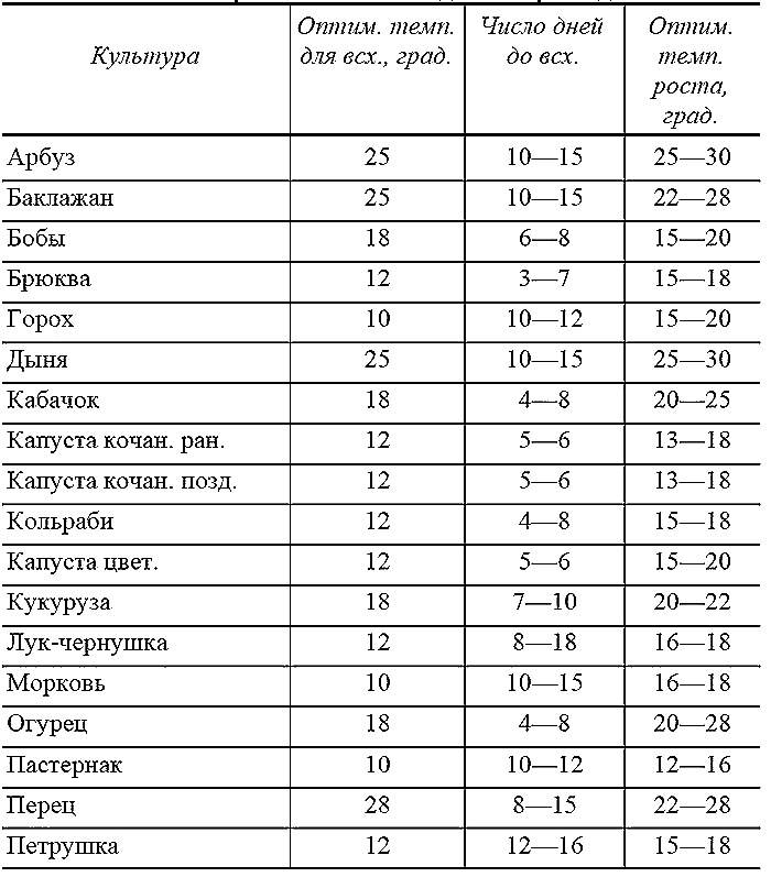 Как посадишь, так и поешь. Агротехника на шести сотках