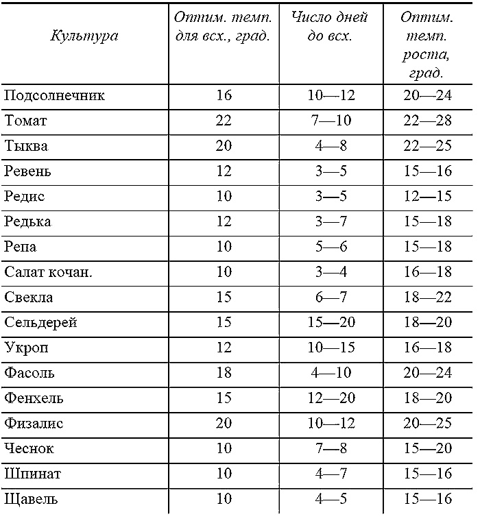 Как посадишь, так и поешь. Агротехника на шести сотках