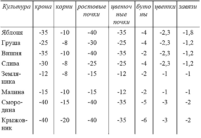 Как посадишь, так и поешь. Агротехника на шести сотках