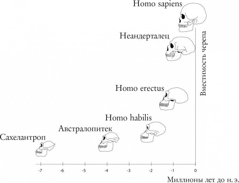 Происхождение