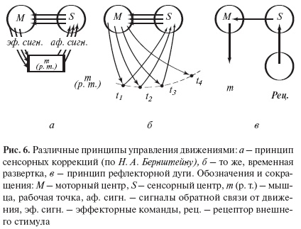 Введение в общую психологию: курс лекций