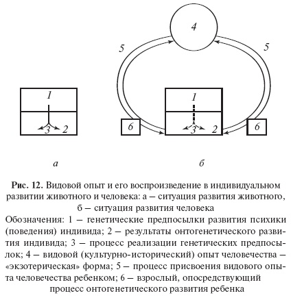 Введение в общую психологию: курс лекций