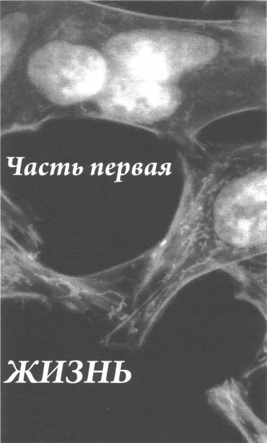 Бессмертная жизнь Генриетты Лакс