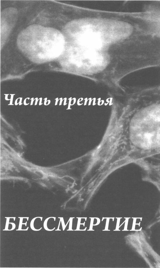 Бессмертная жизнь Генриетты Лакс