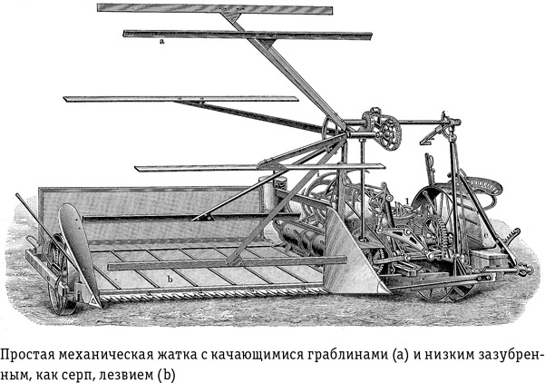 Цивилизация с нуля. Что нужно знать и уметь, чтобы выжить после всемирной катастрофы