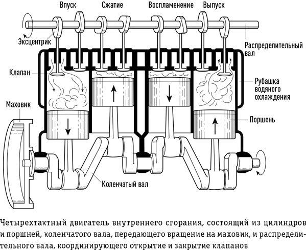 Цивилизация с нуля. Что нужно знать и уметь, чтобы выжить после всемирной катастрофы