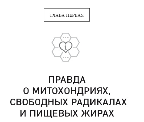 Клетка "на диете". Научное открытие о влиянии жиров на мышление, физическую активность и обмен веществ