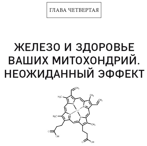 Клетка "на диете". Научное открытие о влиянии жиров на мышление, физическую активность и обмен веществ