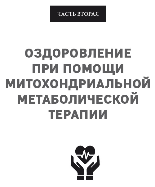 Клетка "на диете". Научное открытие о влиянии жиров на мышление, физическую активность и обмен веществ