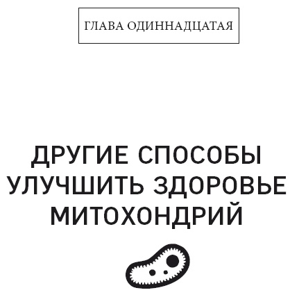 Клетка "на диете". Научное открытие о влиянии жиров на мышление, физическую активность и обмен веществ