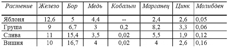 Годовой цикл работ в саду и огороде