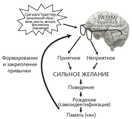 Зависимый мозг. От курения до соцсетей. Почему мы заводим вредные привычки и как от них избавиться