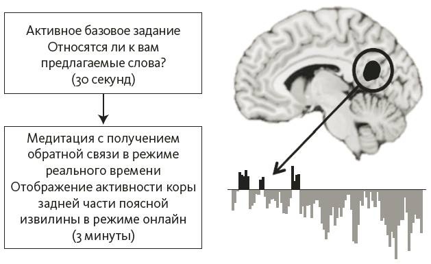 Зависимый мозг. От курения до соцсетей. Почему мы заводим вредные привычки и как от них избавиться