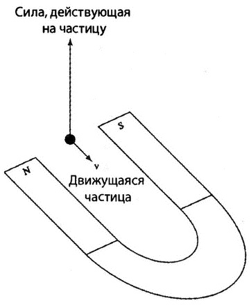 Страх физики. Сферический конь в вакууме