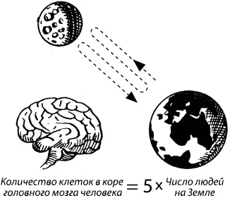 Занимательная психология