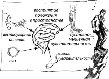 Занимательная психология