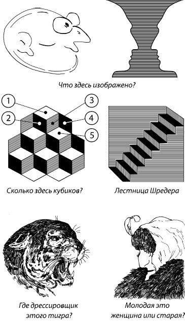 Занимательная психология