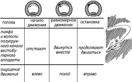 Занимательная психология