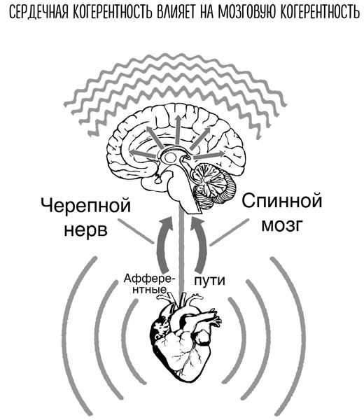 Сверхъестественный разум. Как обычные люди делают невозможное с помощью силы подсознания