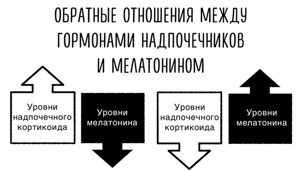 Сверхъестественный разум. Как обычные люди делают невозможное с помощью силы подсознания