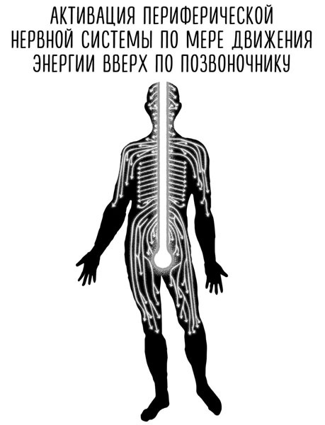 Сверхъестественный разум. Как обычные люди делают невозможное с помощью силы подсознания