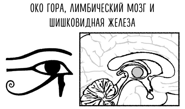 Сверхъестественный разум. Как обычные люди делают невозможное с помощью силы подсознания