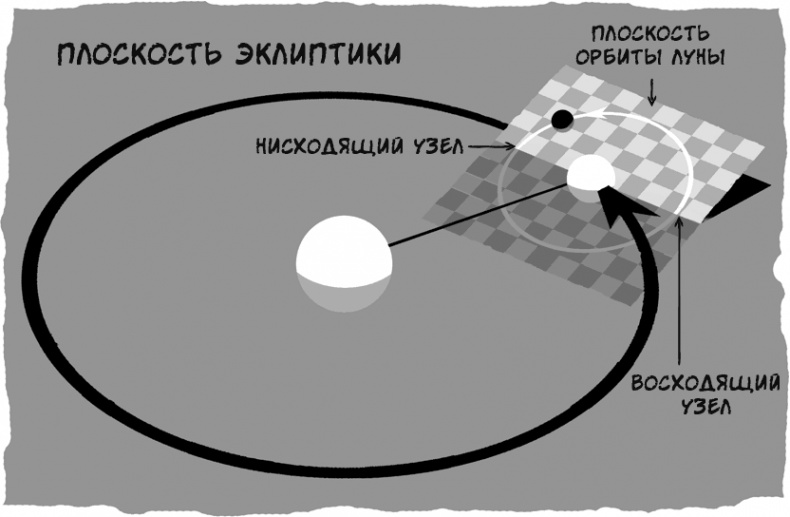 Тайны чисел. Математическая одиссея