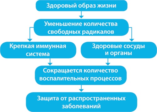 Скандинавский секрет. Простые правила здоровой и счастливой жизни