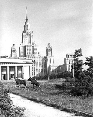 Как было на самом деле. Каждая история желает быть рассказанной