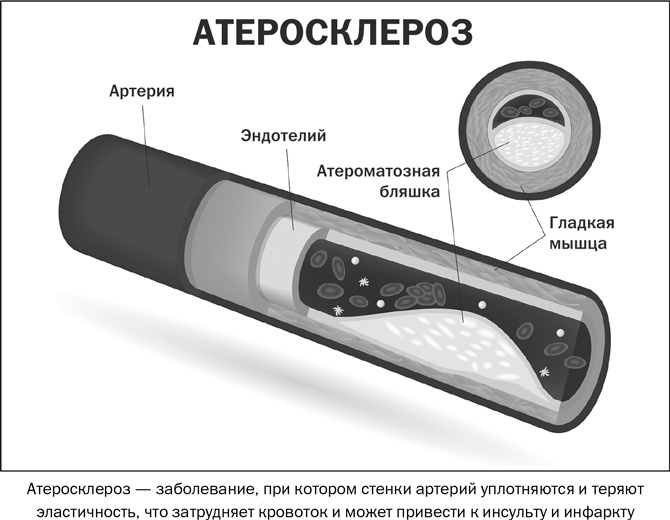 Здоровое питание в вопросах и ответах