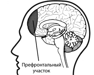 Думай как математик. Как решать любые задачи быстрее и эффективнее