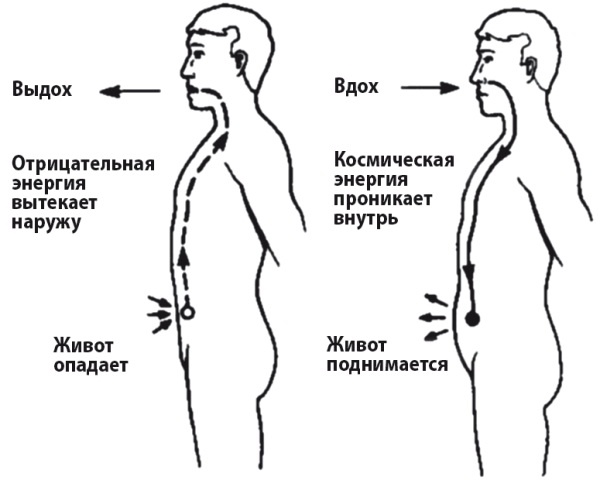 Цигун для начинающих