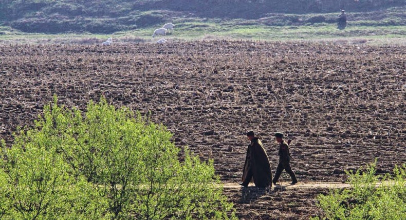 Белый медведь в стране драконов