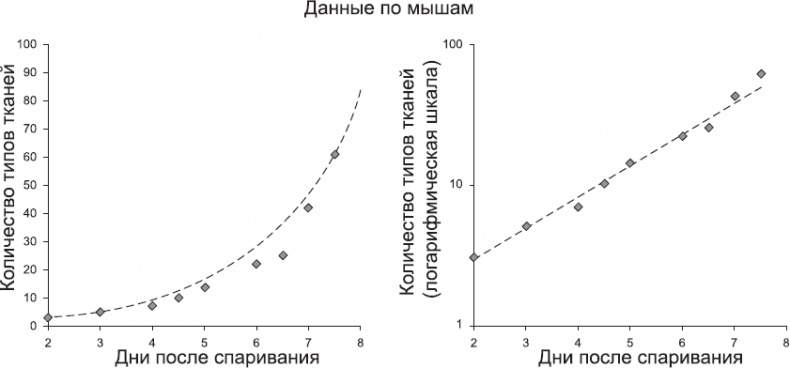 Онтогенез. От клетки до человека