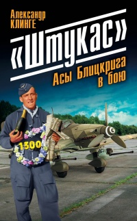 Книга "Штукас". Асы Блицкрига в бою