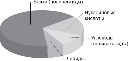 Анатомия на пальцах